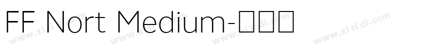 FF Nort Medium字体转换